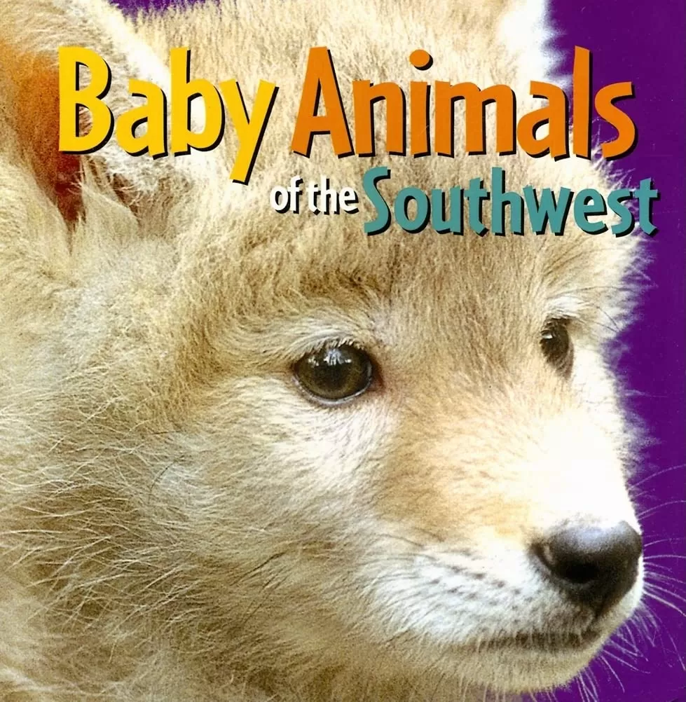 Baby Animals of the Southwest Board Book