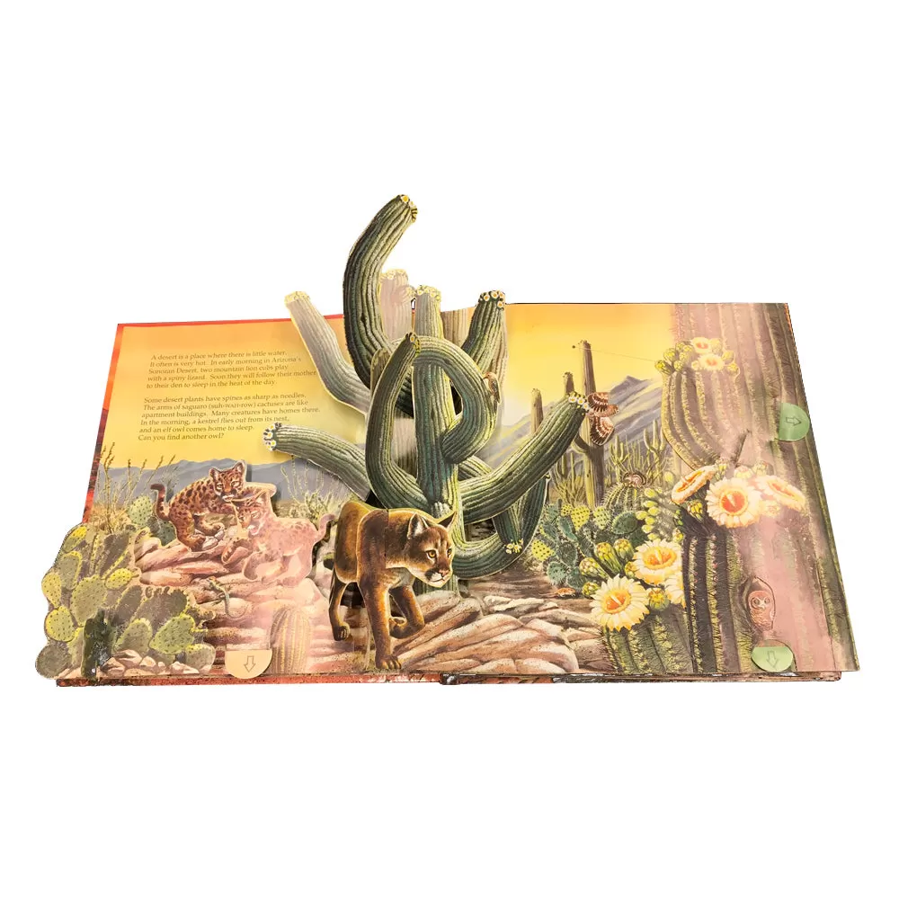 Creatures of the Desert World Pop Up Book