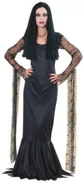 Morticia Costume From The Addams Family