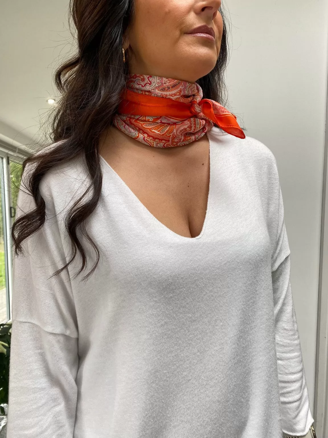 Paisley Neck Scarf