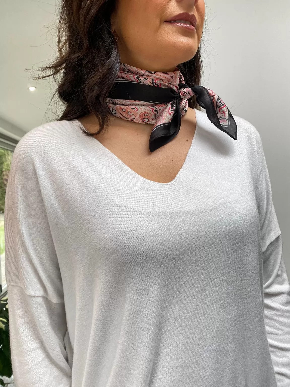 Paisley Neck Scarf